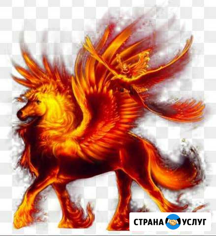 Обучение верховой езде. Ксок Феникс Иркутск - изображение 1