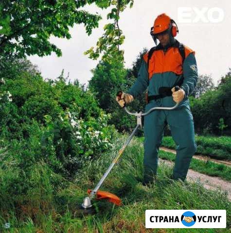 Покос травы бензотриммером Мичуринск - изображение 1