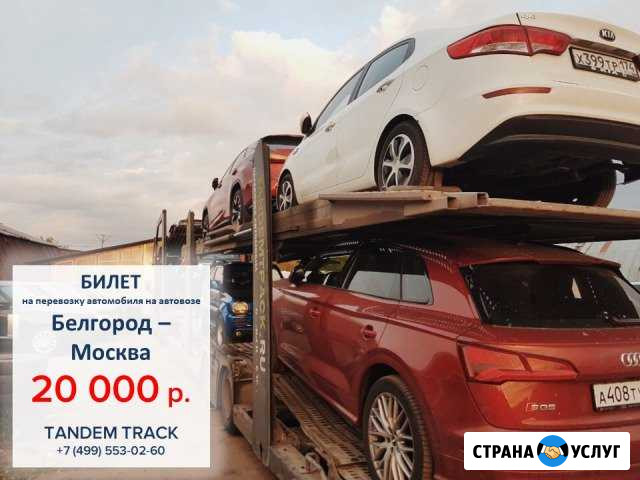 Перевозка автомобилей на автовозе по РФ и Европе Белгород - изображение 1