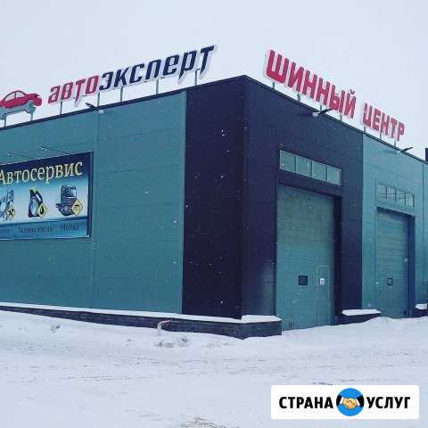 Грузовой шиномонтаж Буревестник - изображение 1