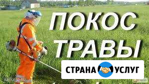 Косим траву Беслан - изображение 1