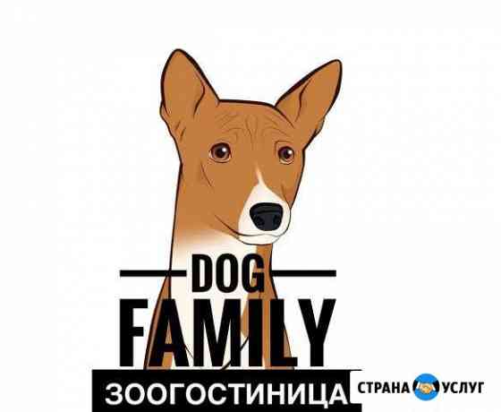 Передержка собак Тольятти