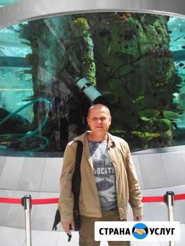Ремонт стиральных и посудомоечных машин в ювао Люберцы - изображение 1