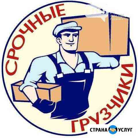 Грузчики Севастополь