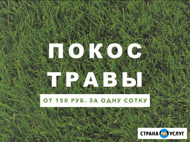 Покос травы, стрижка газона Гатчина - изображение 1