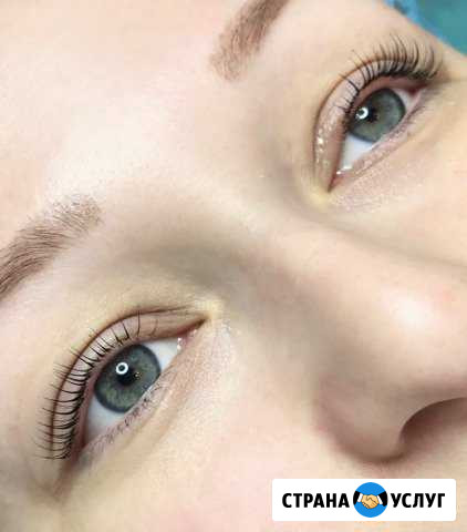 Velvet ресниц, бровей, Botox 6d Сосновоборск - изображение 1