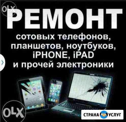 Ремонт Цифровой техники Арзамас