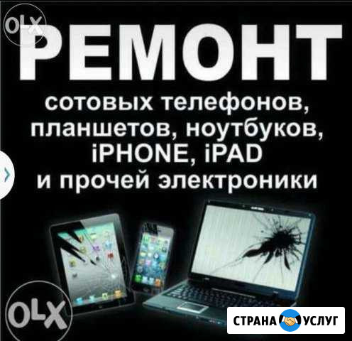 Ремонт Цифровой техники Арзамас - изображение 1