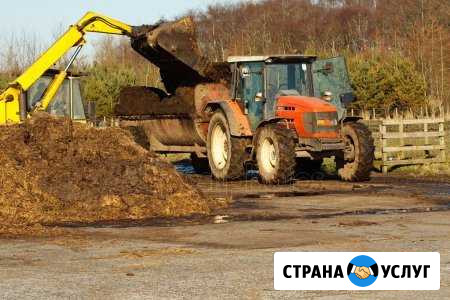 Навоз-перегной Новокузнецк - изображение 1