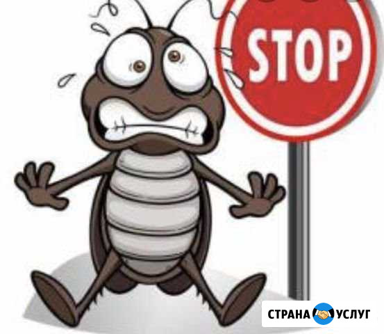 Уничтожение насекомых /дезинсекция/Татарстан Набережные Челны - изображение 1
