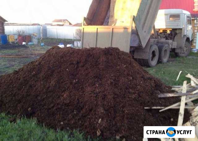 Перегной 2-3 годичный Ростов-на-Дону - изображение 1