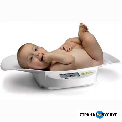 Детские весы Laica. Аренда Гатчина - изображение 1