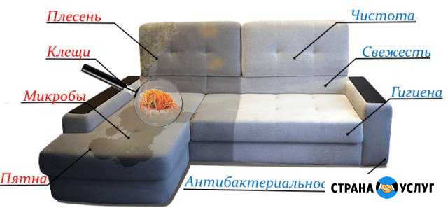 Химчистка Мягкой Мебели И Ковровых Покрытий Славгород - изображение 1
