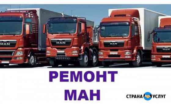 Отключение Мочевины Адблю Егр клапан Ман Ремонт Москва