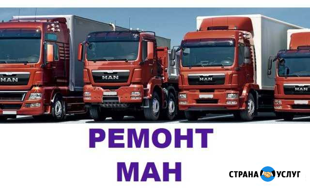 Отключение Мочевины Адблю Егр клапан Ман Ремонт Москва - изображение 1