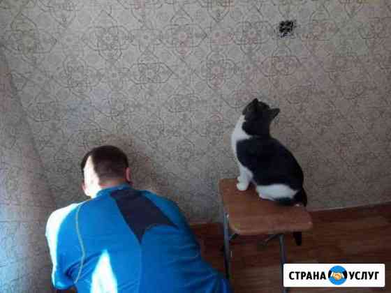 Поклейка обоев Люберцы