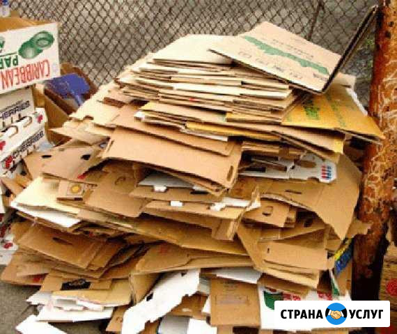 Вывоз макулатуры Вологда - изображение 1