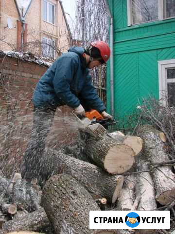 Спил деревьев/земляные работы/уборка участка Ярославль - изображение 1
