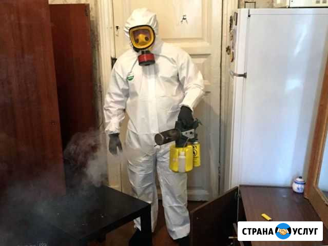 Уничтожение клопов,тараканов. С Гарантией Архангельск - изображение 1