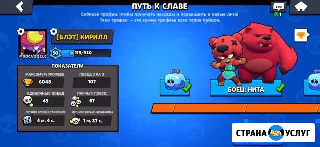 Тренер по brawl stars Хабаровск - изображение 1