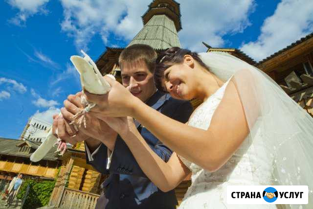 Свадебный фотограф Котельники - изображение 1