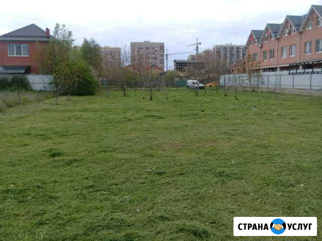 Покос травы Краснодар - изображение 1