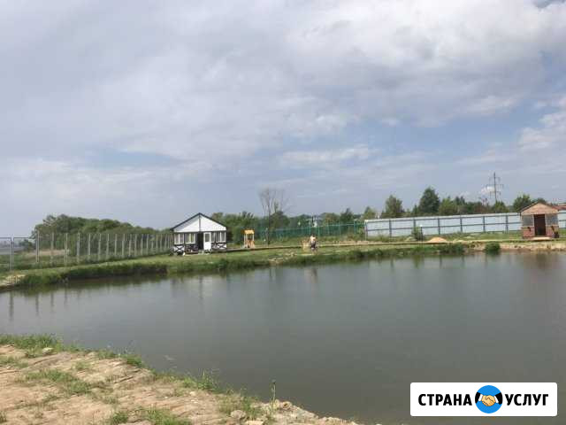 Отдых на берегу реки (клязьма) Пироговский - изображение 1