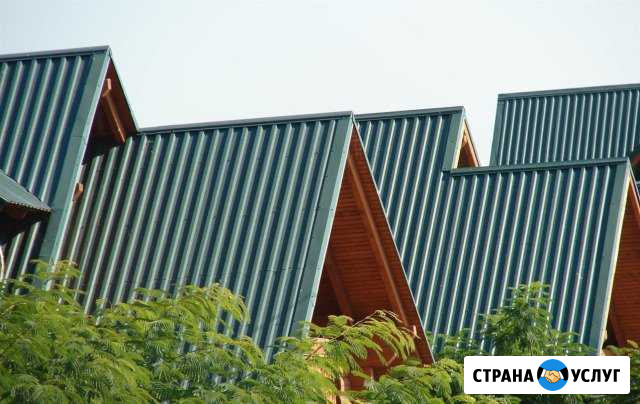 Трезвые строители Лукоянов - изображение 1