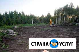 Валка деревьев, расчистка участков Санкт-Петербург - изображение 1