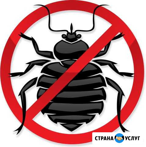 Уничтожение клопов и тараканов Иркутск - изображение 1