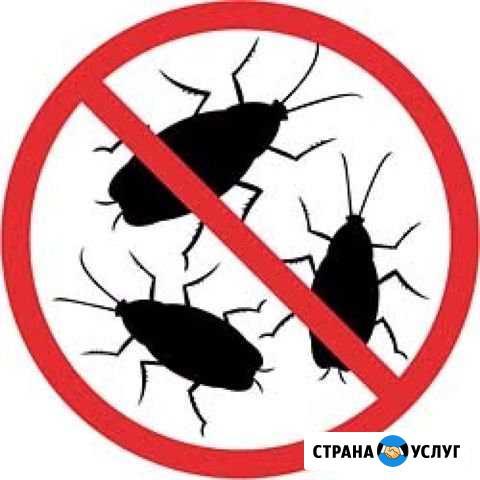 Уничтожение насекомых в Керчи Керчь - изображение 1