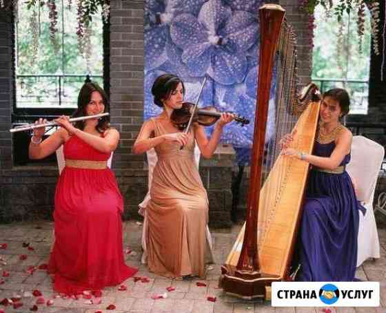 Скрипка на мероприятие, свадьбу, праздник Москва