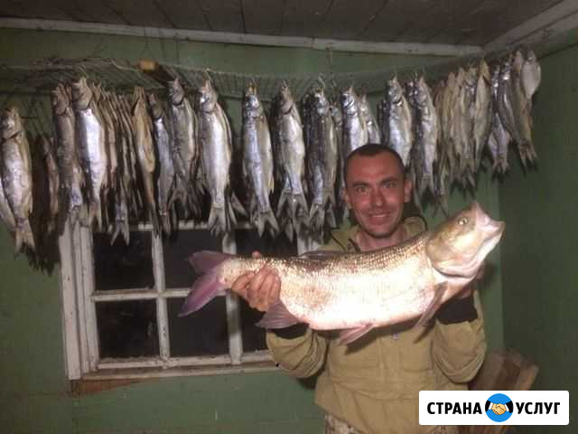 Рыбалка в Астрахани Володарский - изображение 1