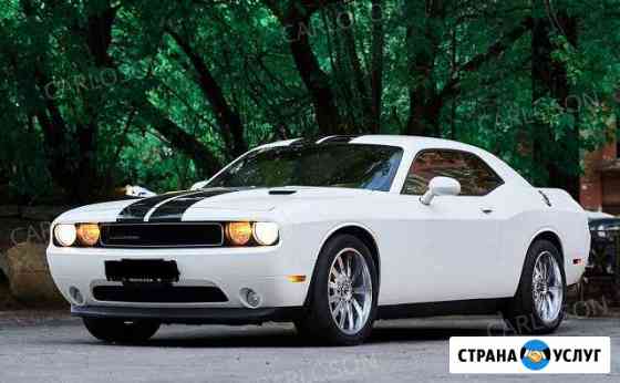 Аренда Dodge Challenger Москва