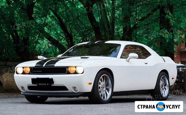 Аренда Dodge Challenger Москва - изображение 1