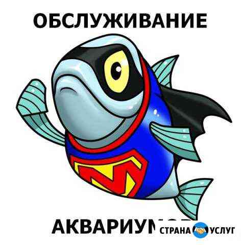 Обслуживание, запуск и дизайн аквариума Ростов-на-Дону