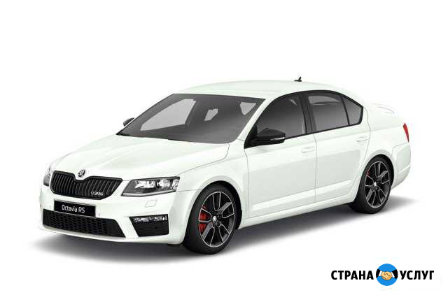 Аренда автомобиля Домодедово - изображение 1