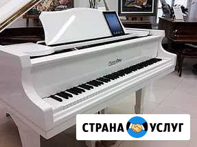 Профессиональная настройка пианино Москва - изображение 1