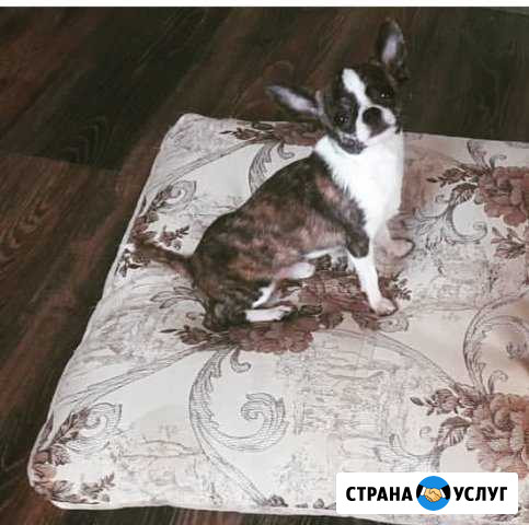 Вязка Оренбург - изображение 1