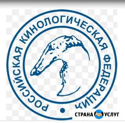 Клуб собаководства.Обмен документов Краснодар - изображение 1