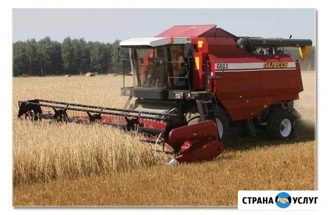 Уборка урожая Кущевская - изображение 1