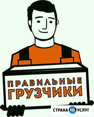 Услуги грузчиков Мончегорск - изображение 1