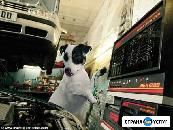 Автодиагностика и ремонт систем авто Кириши - изображение 1