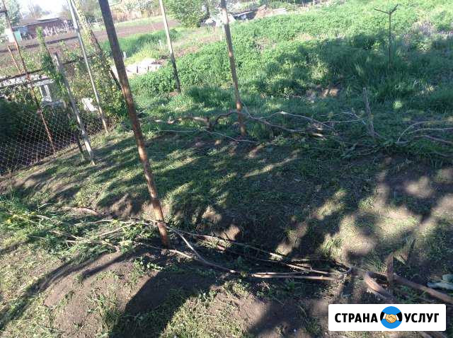 Покос травы Ленинградская - изображение 1