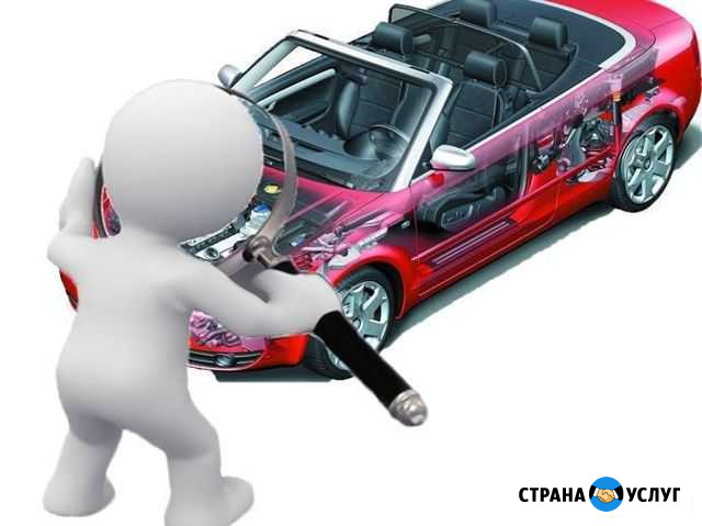 Помощь в покупке авто Хабаровск - изображение 1