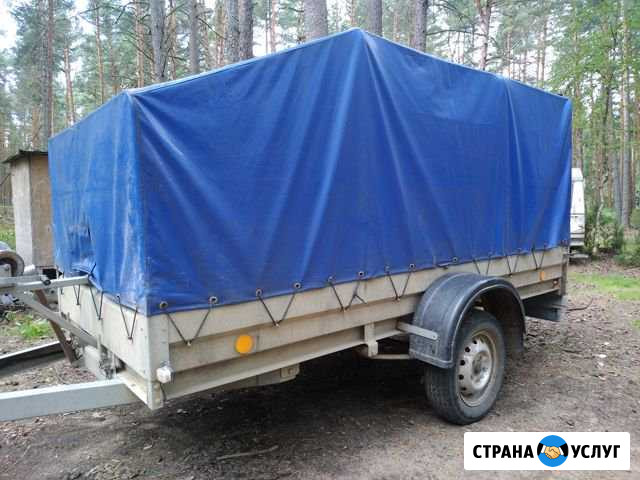 Покос травы,перевозки,распил,вывоз мусора Талдом - изображение 1