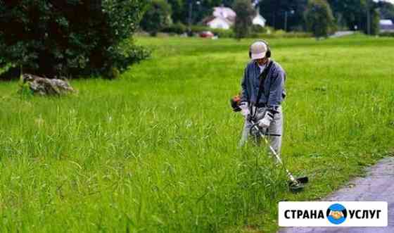 Покос травы,бурьян,окос дома,триммером Тула
