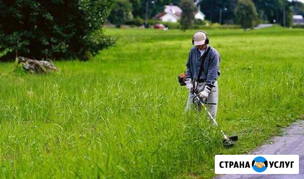 Покос травы,бурьян,окос дома,триммером Тула - изображение 1