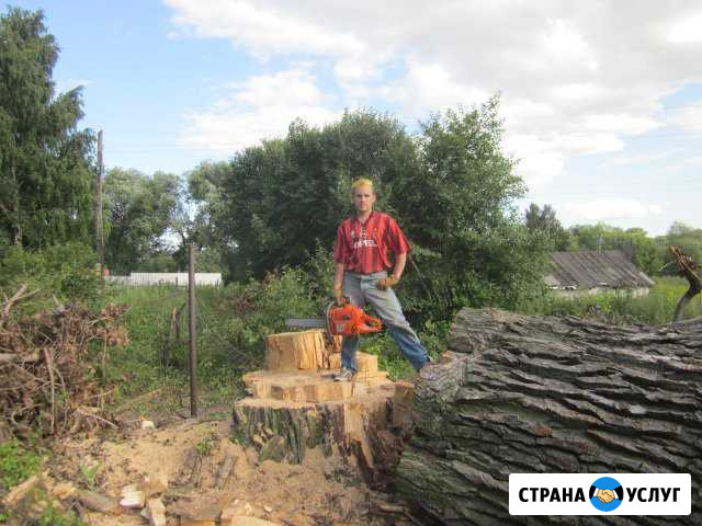 Валка деревьев Узловая - изображение 1