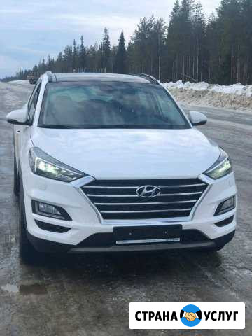 Авто в аренду с водителем Усинск - изображение 1